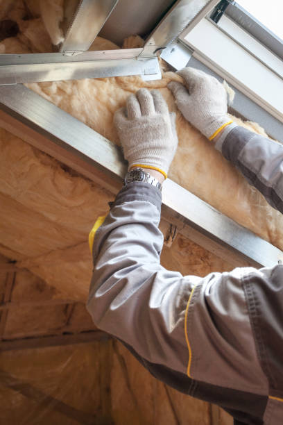 Best Insulation Installation Services in Osakis, MN