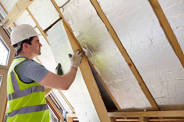 Best Residential Insulation in Osakis, MN